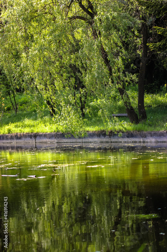Fototapeta Naklejka Na Ścianę i Meble -  Amazing view at a calm pond and greenery of various overhanging trees reflecting in water. Beautiful colorful summer spring natural landscape with a lake in park surrounded by green trees in sunlight.