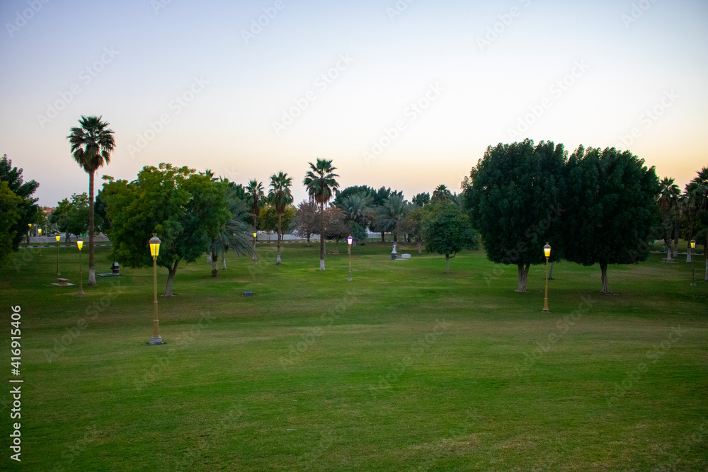 landscape of park