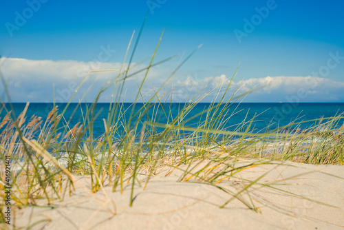 Sandd  nen an der Ostsee im Hintergrund die Ostsee von K  hlungsborn  Mecklenburg-Vorpommern  Deutschland