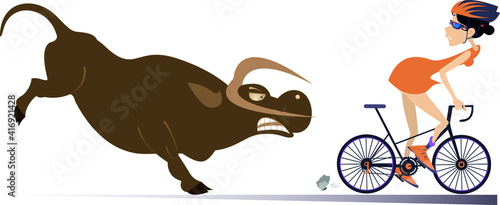 Angry bull and cyclist woman illustration. Frightened cyclist woman escapes from the angry bull isolated on white illustration
