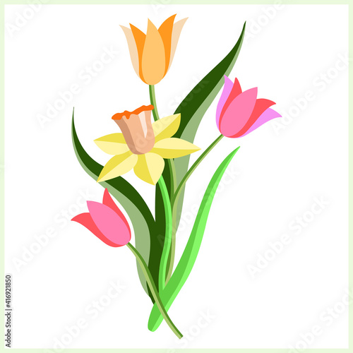 Vector illustration tulips with daffodils pattern.