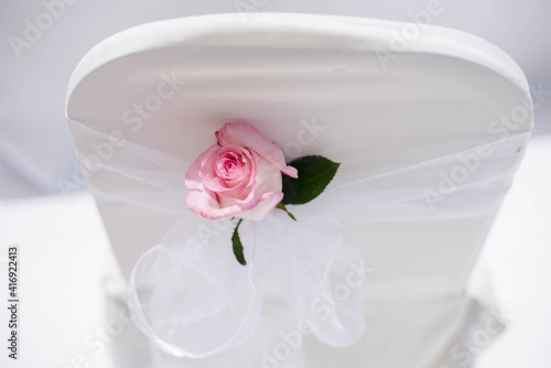 white rose in a back rest