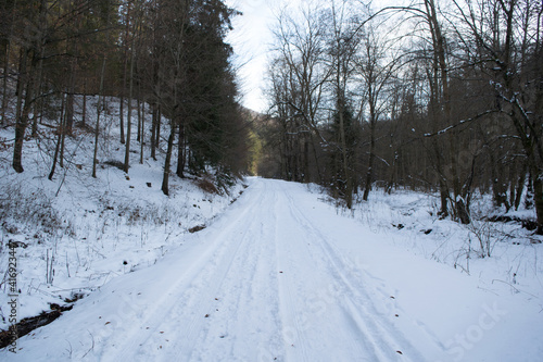 Snowy road in forest in winter