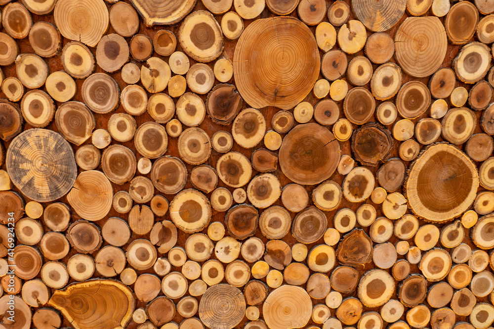 Decorative background of ring-cut tree trunks Decorative background of ring-cut tree trunks