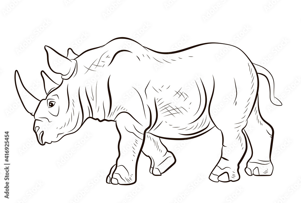 Wild African animal rhinoceros, black and white image. Coloring book for children, big and scary rhino.