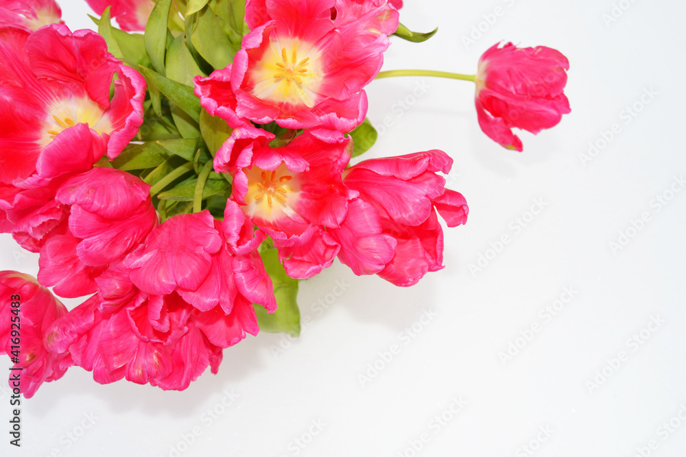 A greeting card with a spring holiday. Bouquet of red tulips on a white background. Space for text A greeting card with a spring holiday. Bouquet of red tulips on a white background. Space for text