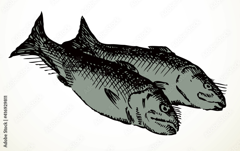 Fototapeta premium Vector fishes still life from the biblical story