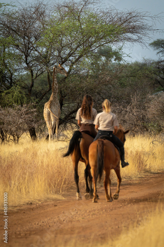 Two women ride towards giraffe by tree © Nick Dale