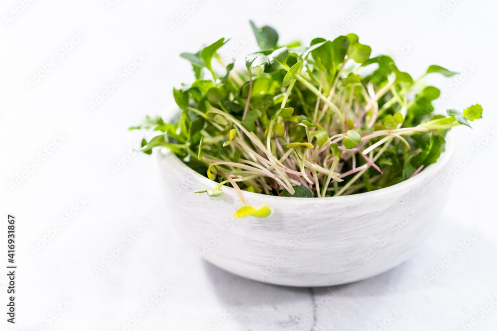 Microgreens