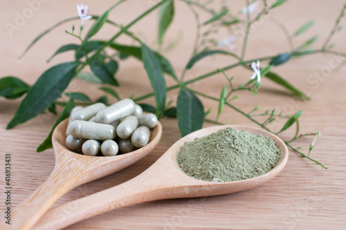 Andrographis powder and capsules on a wooden background, used for medical treatment,copy space.
