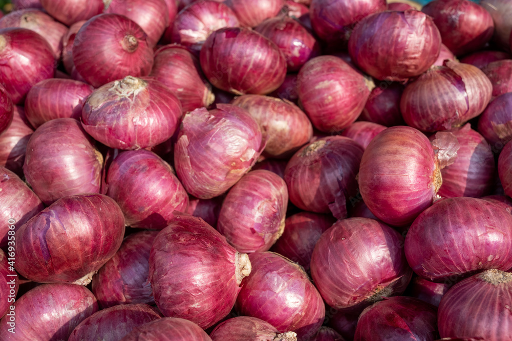 Onions in the market Onions in the market