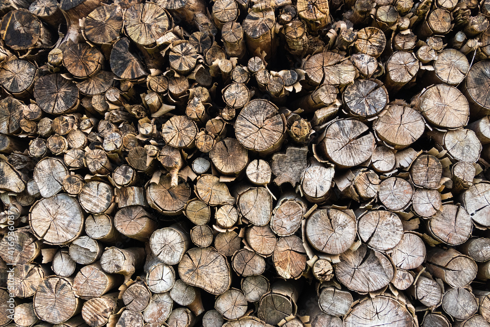 Dried wood log stack, firewood background Dried wood log stack, firewood background