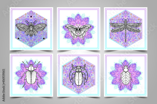 Black and white butterfly over sacred geometry sign, isolated vector illustra...