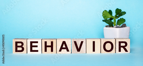 The word BEHAVIOR is written on wooden cubes near a flower in a pot on a light blue background