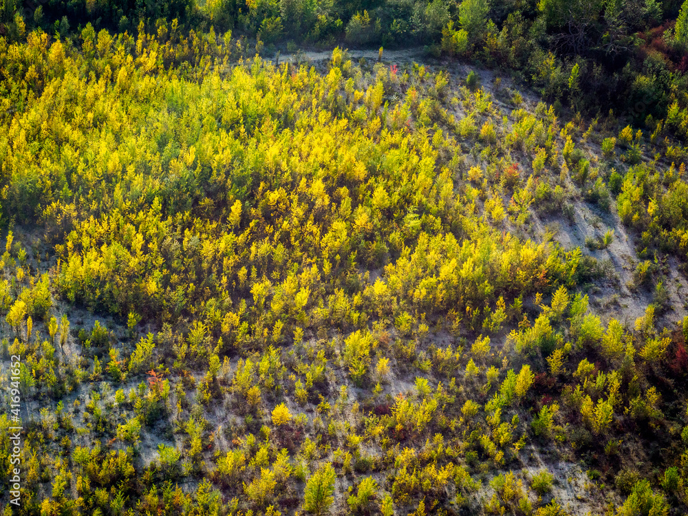 Obraz premium vue aérienne de la forêt l'automne à Millemont dans les Yvelines en France