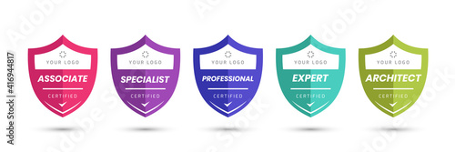 Certified logo badge with shield shape vector. Digital certificates of criteria levels. Vector security icon template.