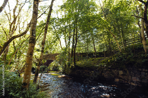 A stream and a stone bridge at the Bowless Visitor Centre Bowlees Tees Valley, County Durham