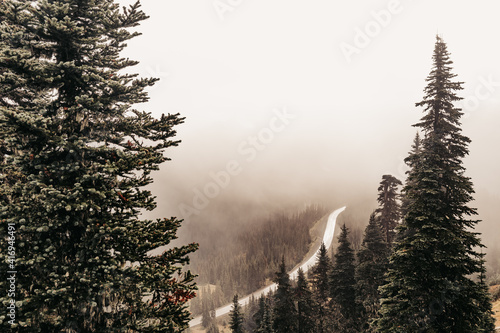 Εκτύπωση καμβά Hurricane Ridge Road, surrounded by pine trees and eerie fog, leading up to Hurricane Ridge Visitor Center in Olympic National Park, Washington, USA