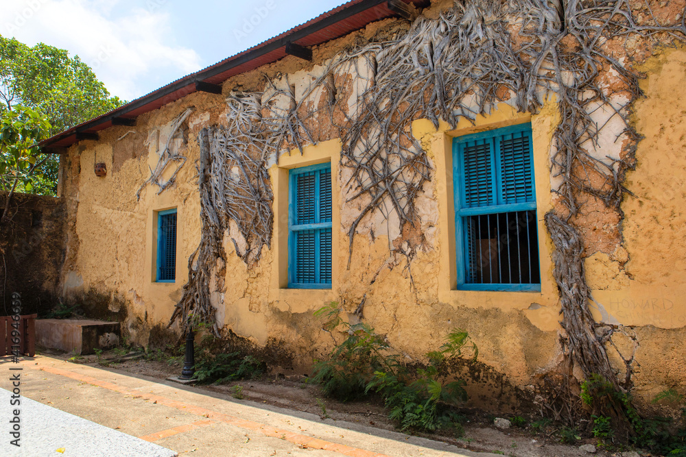 Old prison building on Turtle Island in Zanzibar. Interesting architecture among tropical plants. Dried tree roots on the wall of a building. Blue windows