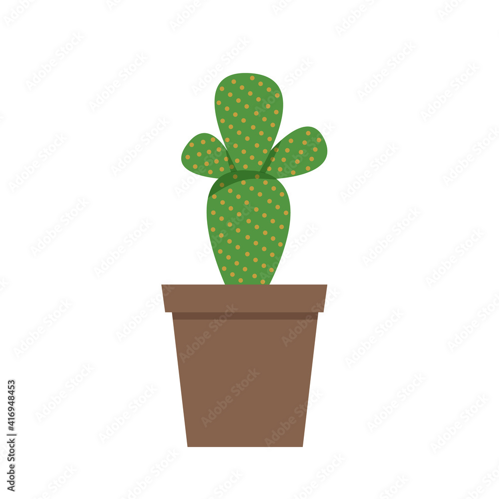 A cactus in a pot is isolated on a white background. Home plant. A cactus in a pot is isolated on a white background. Home plant.