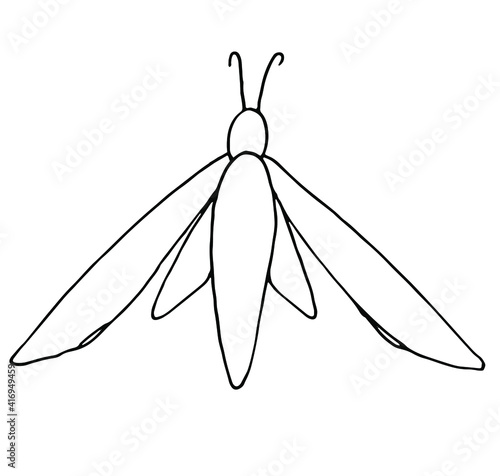 Beautiful insect, dragonfly with two pairs of wings, long and short. As a character for children's illustrations, textbooks about entomology. Drawn by a pen on a white background, vector illustration.