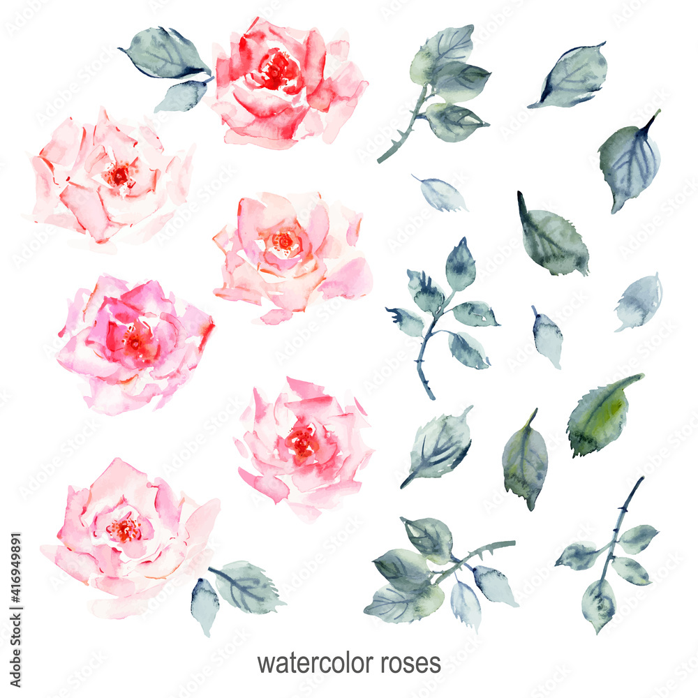 Hand drawn watercolor rose flowers, leaves and branches, pink stains Hand drawn watercolor rose flowers, leaves and branches, pink stains