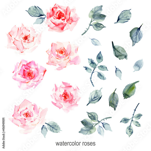 Hand drawn watercolor rose flowers, leaves and branches, pink stains