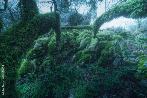 Magic Branches in the Torcal de Antequera, Malaga