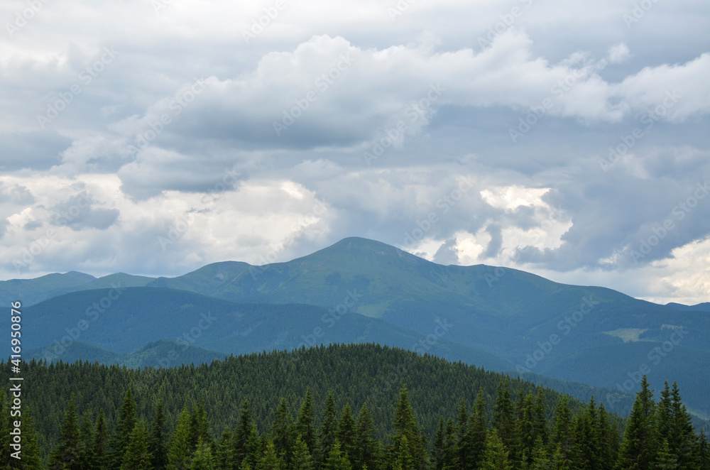 Fototapeta premium Part of Chornohora range with the highest mountain of Ukraine Hoverla in cloudy summer day. Panoramic view, Carpathian Mountains, Ukraine