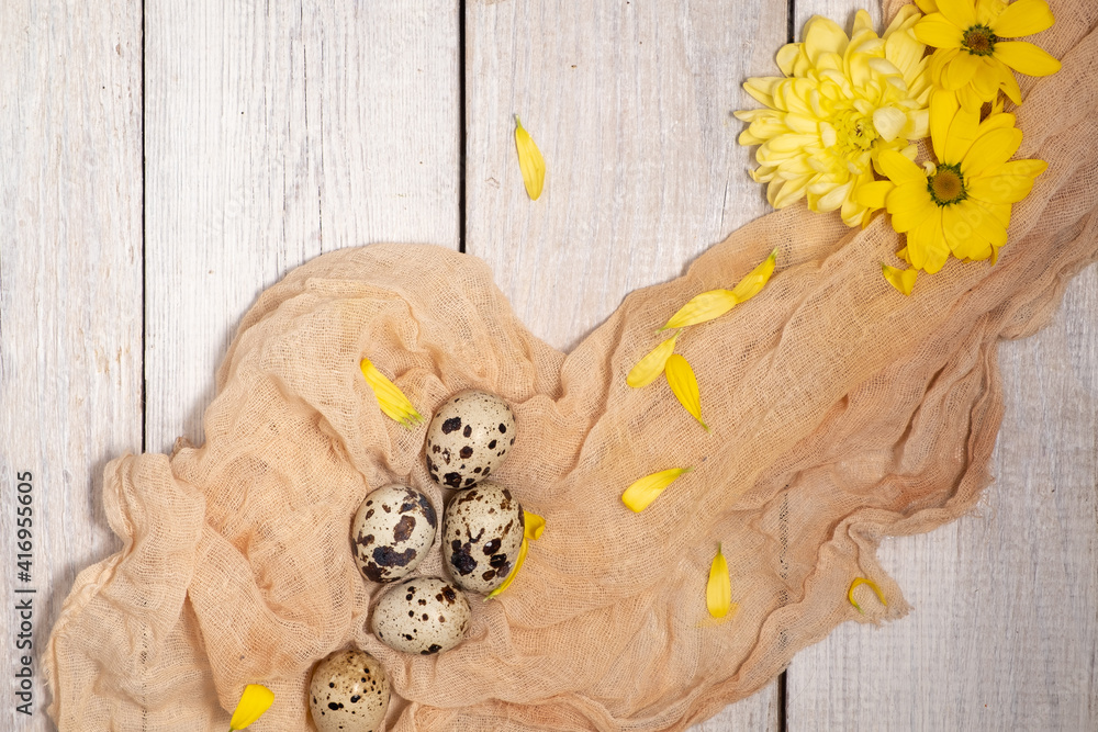 Easter background in natural style. yellow flowers and quail eggs on a fabric on a white wooden table.