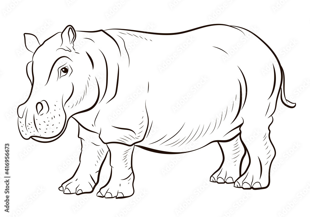 Fototapeta premium Animals. Black and white image of a large African hippopotamus, coloring book for children.