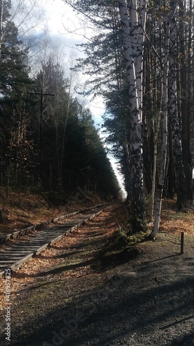 railway, path in the forest