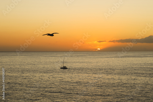 a seagull flies at sunset, while a ship returns to port