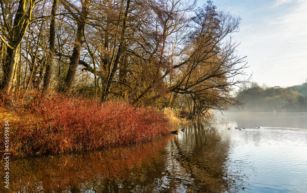 Obraz premium Romantischen Morgenstimmung am Teich