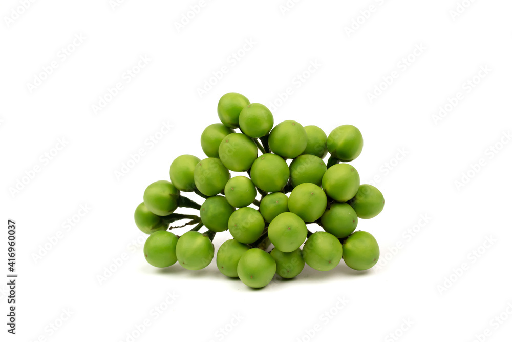 Pea eggplant or turkey berry isolated on white background. Solanum torvum is ingredients for cooking Thai food. Pea eggplant or turkey berry isolated on white background. Solanum torvum is ingredients for cooking Thai food.