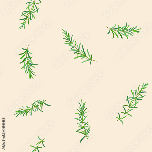 Trendy pattern with branch of rosemary. Vector illustration.