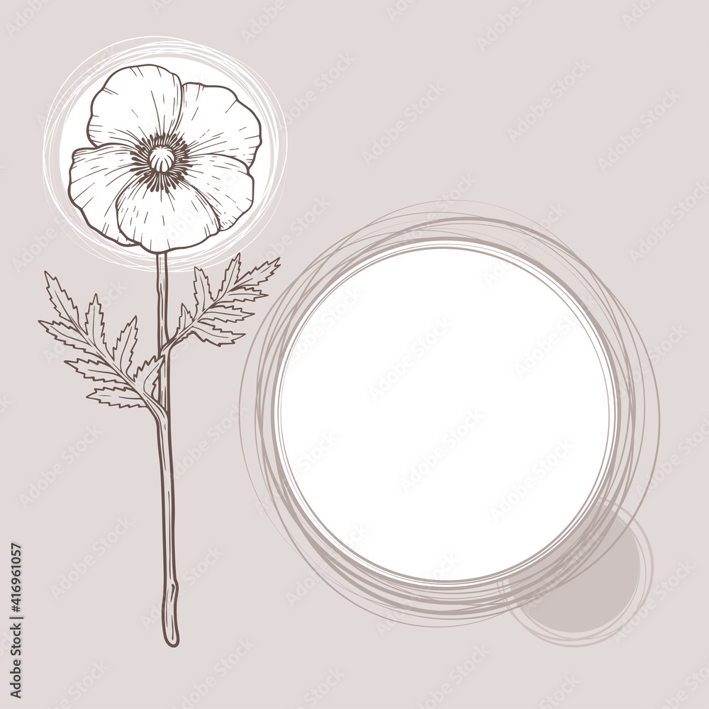 Copy space with burn outline poppy flower Copy space with burn outline poppy flower