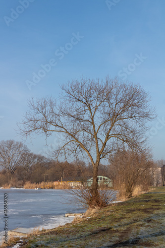 Fototapeta Naklejka Na Ścianę i Meble -  drzewa las
