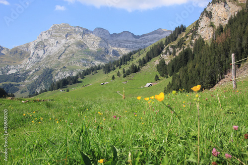 Swiss mountains