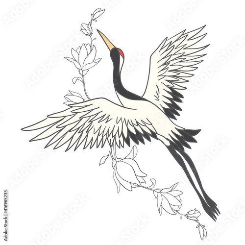 Japanese crane bird isolate on a white background.