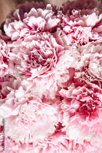 pink peonies in pastel colors close-up, flower pattern, vintage photo processing © KseniyaK