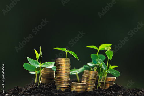 Fotografi Return on investment concept The seedlings that grow on a pile of coins include
