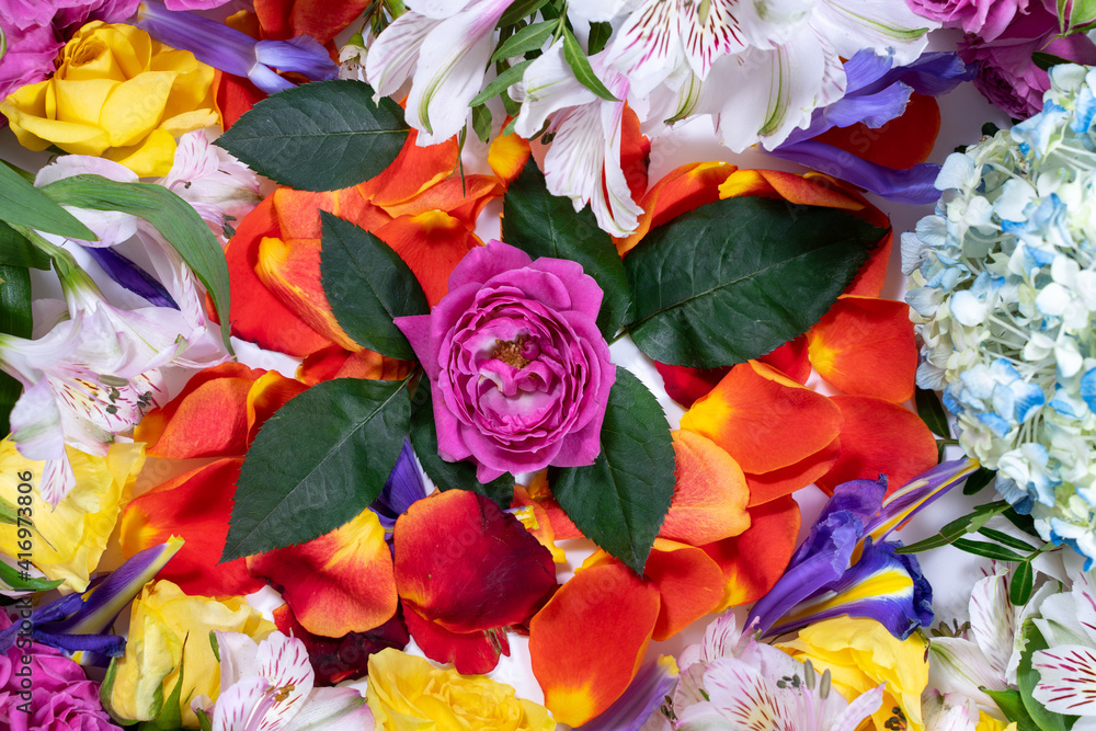 Mixed flower arrangement: different flowers of different colors, in the center is a pink rose Mixed flower arrangement: different flowers of different colors, in the center is a pink rose