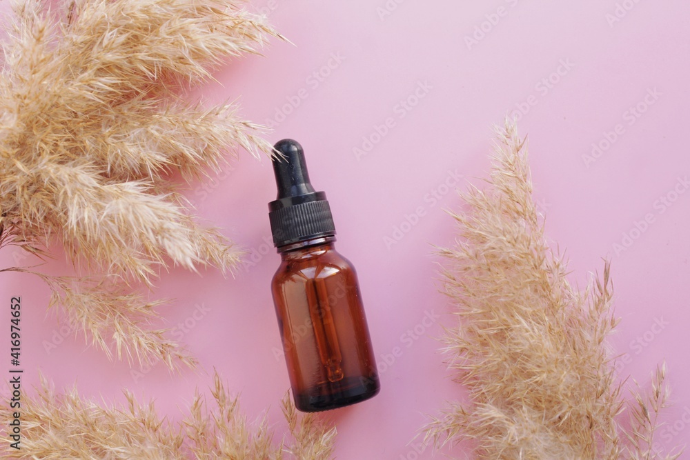 Fototapeta premium Dry pampas grass reeds agains on a pink background. essential oil in glass bottle