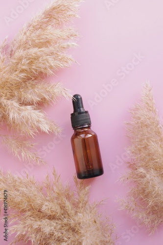 Dry pampas grass reeds agains on a pink background. essential oil in glass bottle