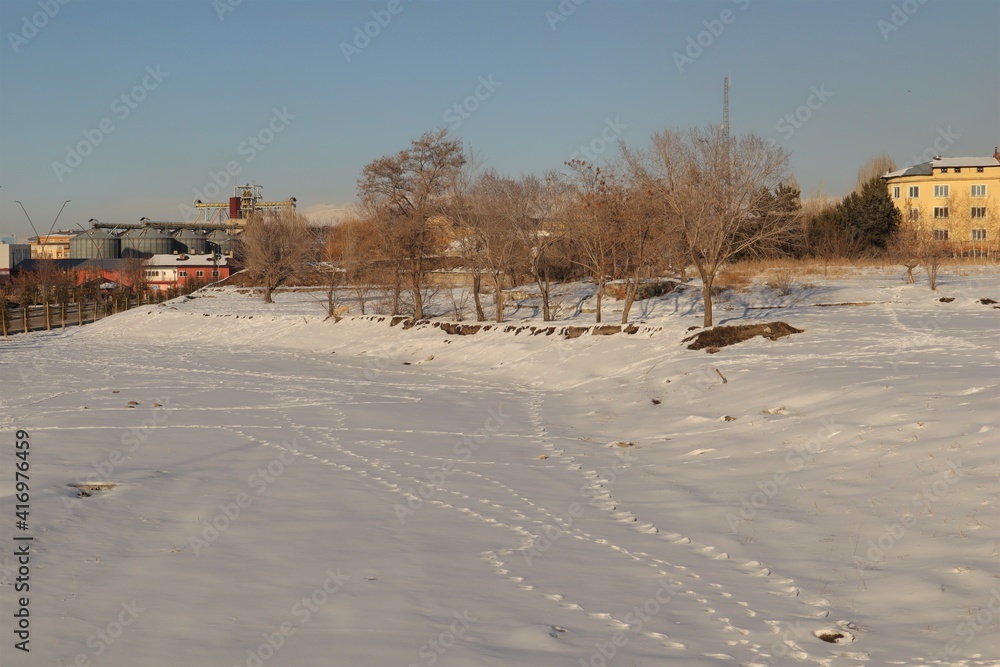 Footprints in the city. Erzurum, turkey.
Animals footprints on the snow winter landscape on a sunny day.
animal track, tracks.
Footprint dog on the earth .
Local dog foot prints on snow.
Dogs walking