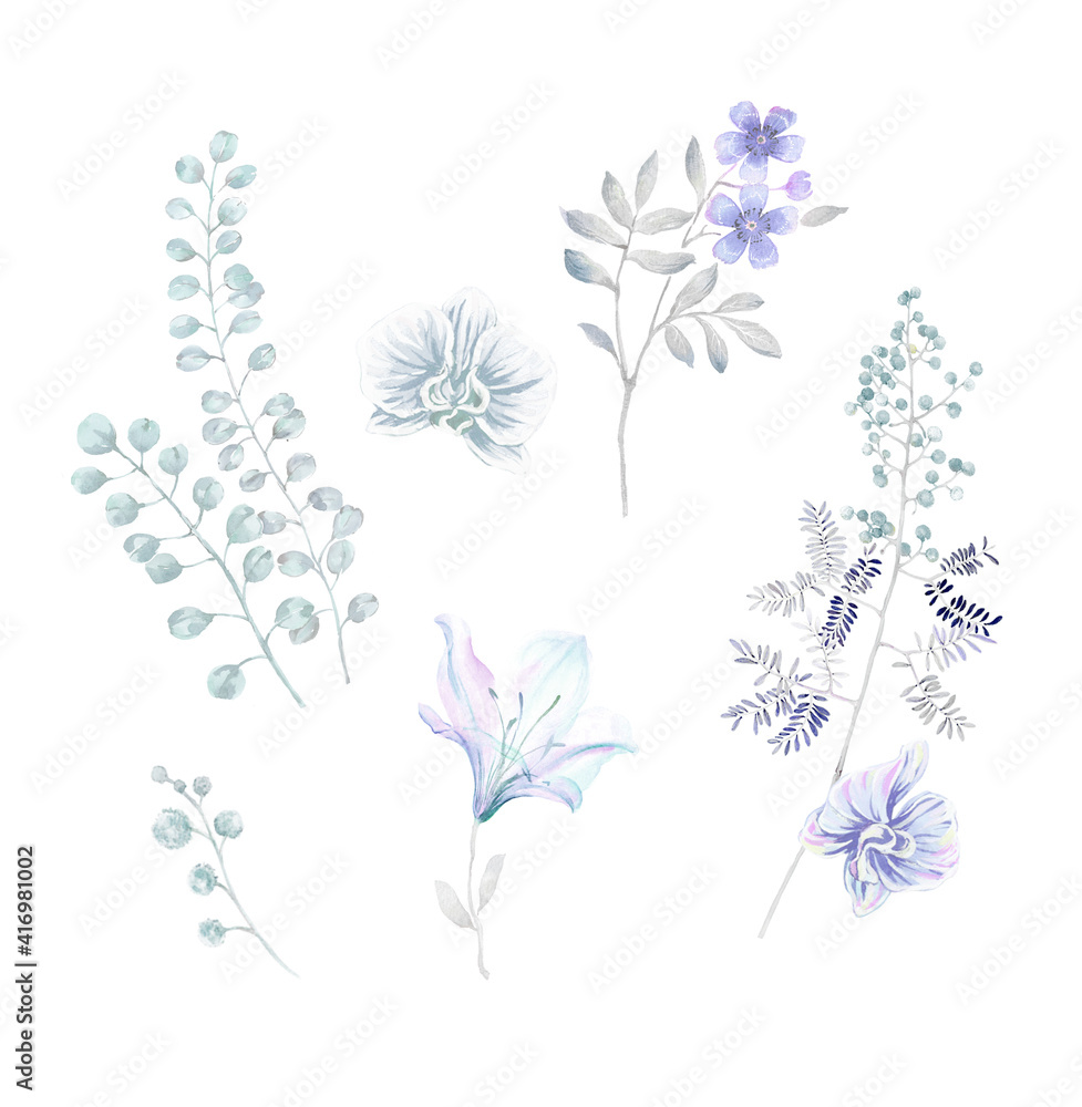 Fototapeta premium Flowers watercolor illustration.Manual composition.Big Set watercolor elements,Design for textile, wallpapers,Element for design,Greeting card