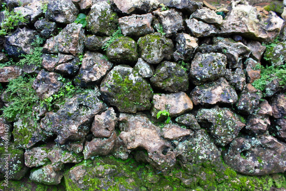 moss on stone