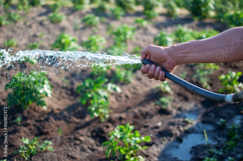 garden watering with water hose, gardening concept