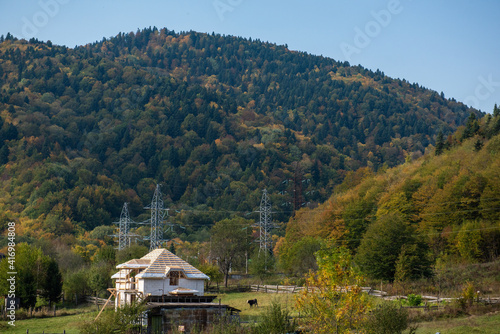 autumn morning in the forest with mountain views © Вадим Лагутов